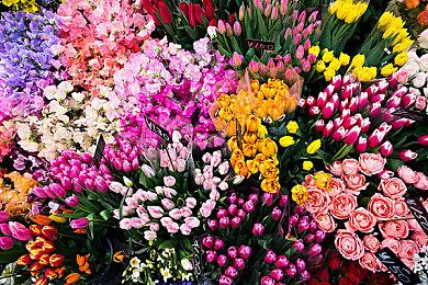 ipad变笔记本，雷柏XK300蓝牙键盘系列视频