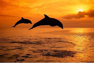 英伟达承认：不开启多帧生成 5070无法击败4090